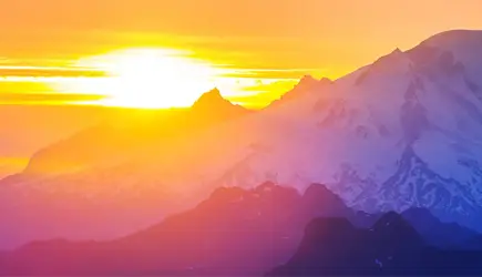 Pamela Simon - Arbeitsweise