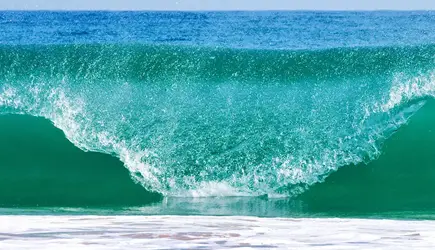 Pamela Simon - Holistic Pulsing